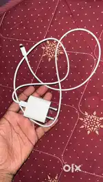 lighting adapter charger
