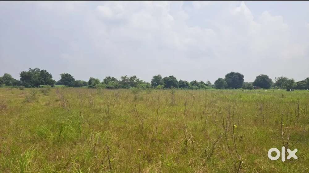 3 bigha land for sell in Gothda savli industrial Zone