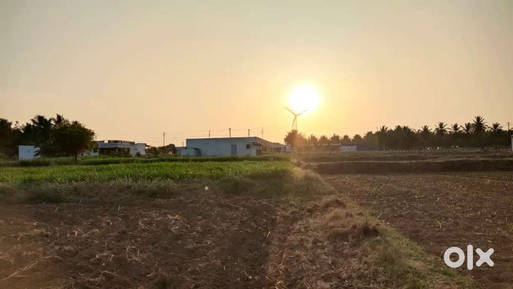 82 CENT+ 6250 SQ KUDON SALE