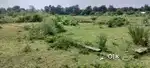 यह जमीन बिकाऊ है