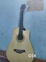 Blueberry guitar