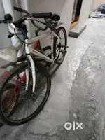 Mach city cycle