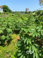 Residential Plot for Sale