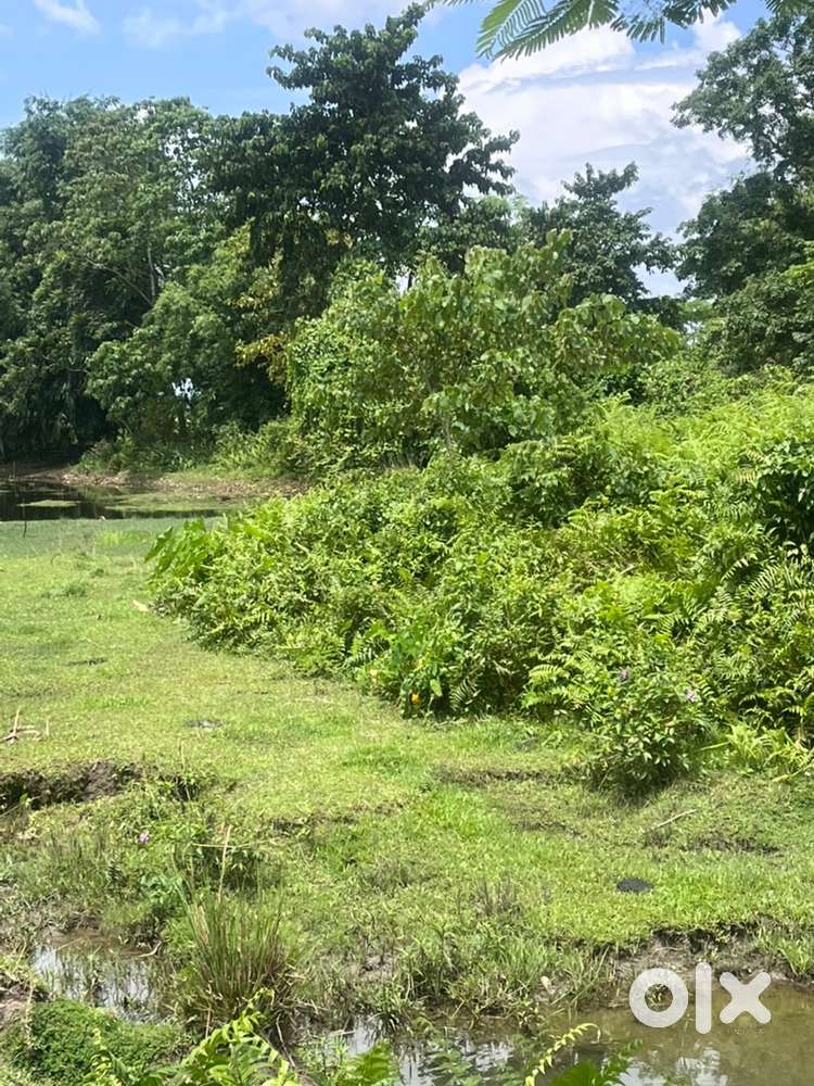 Ada biga land at raomari