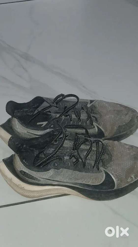 sports shoe