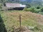 Land for sale in Mon Nagaland