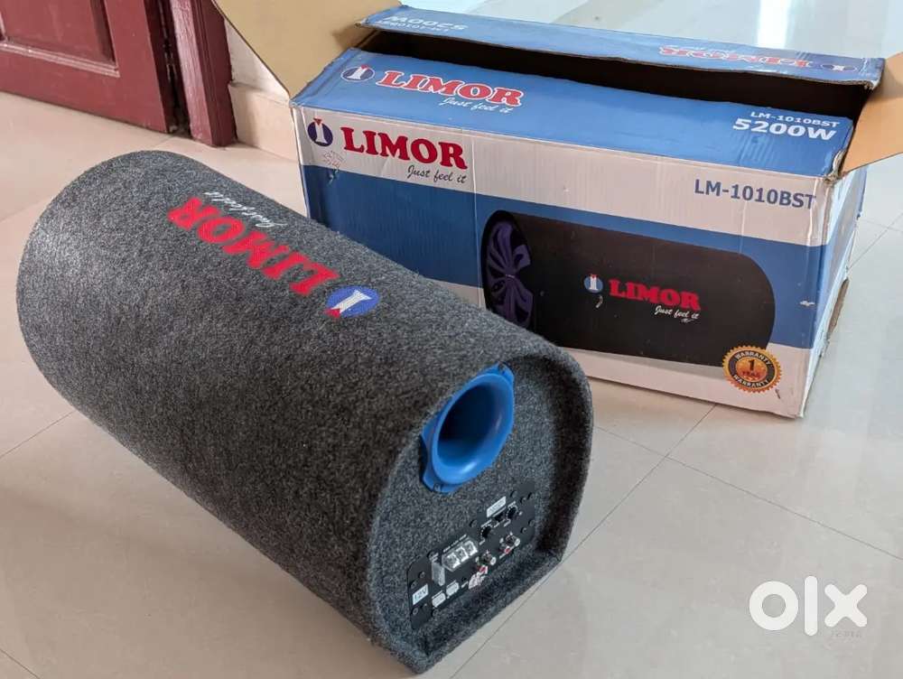 Sub woofer with inbuilt amplifier for car