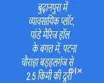 व्यावसायिक प्लॉट