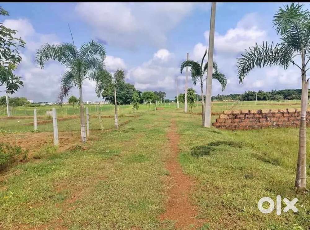 Yellow Zone Gharabari Plots for Sale Near Dn Regalia Bhubaneswar