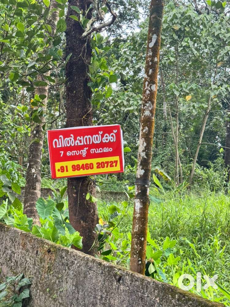 7 cent plot for sale