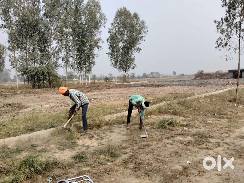 INDEPENDENT प्लॉट FOR सेल SEC145 NOIDA ऑल facilities के साथ