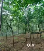 രാമപുരം ടൗണിൽ ഹൗസ് പ്ലോട്ട് വില്പനയ്ക്ക്