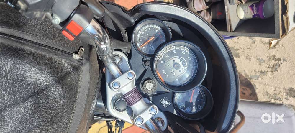 Unicorn ,14 february 2024 model