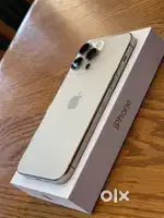 14 pro max 356 gb