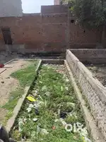 Plot at very reasonable price at Miya Colony Jayantipur Moradabad