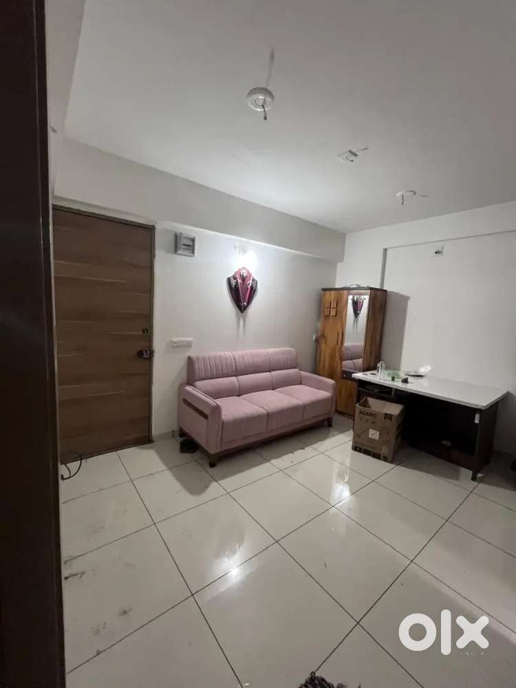 1 BHK fully furnished flat