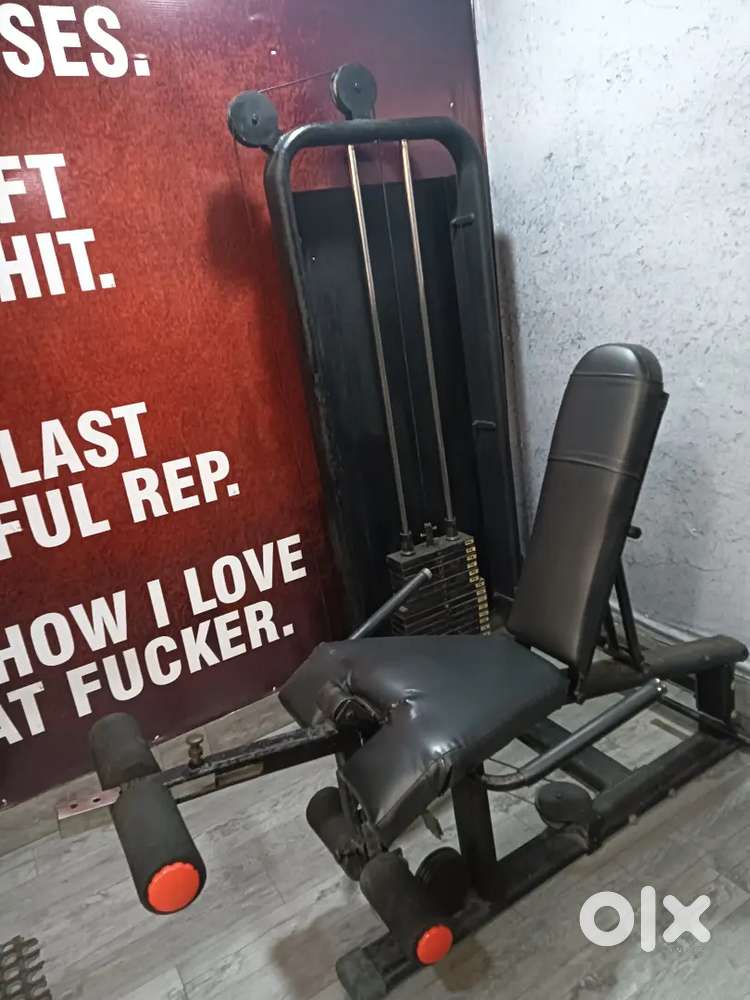 Leg extension curl
