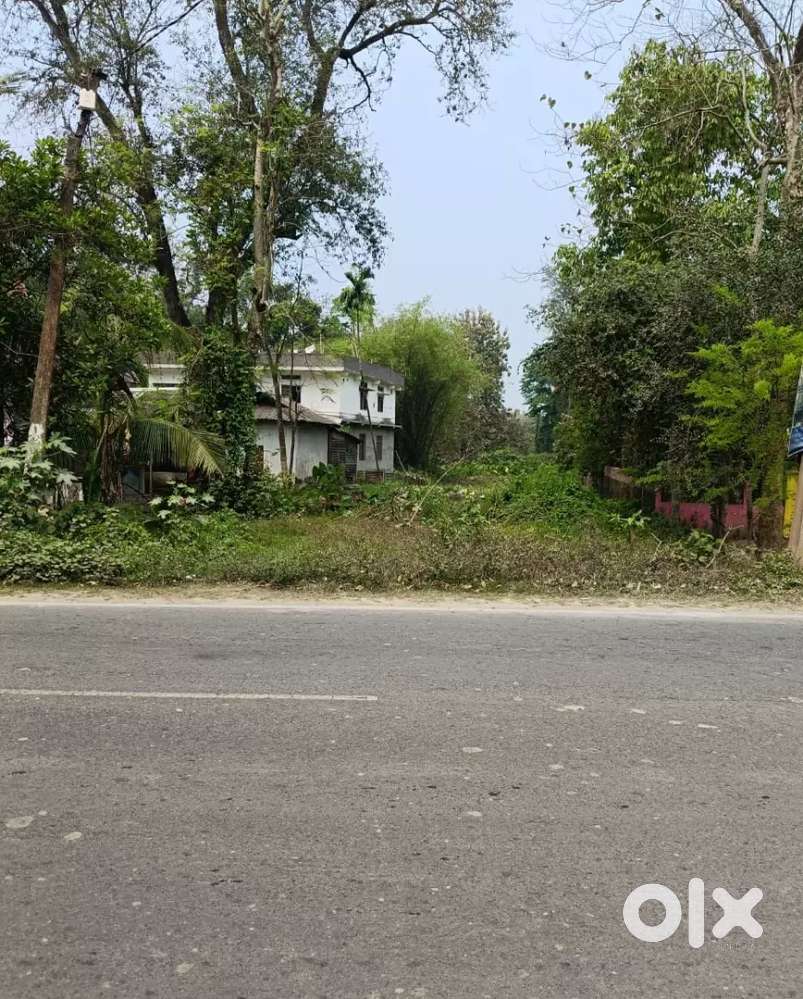 Land near Royal Awas,NH-37,Bhutaigaon, Nagaon NH 37