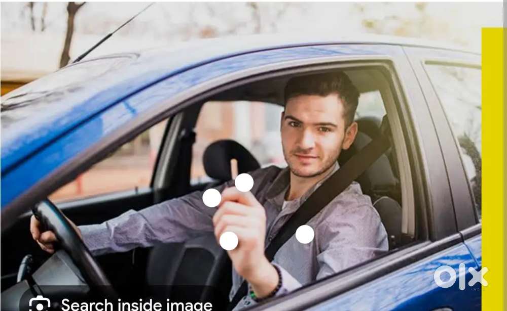 Freelencer Driver