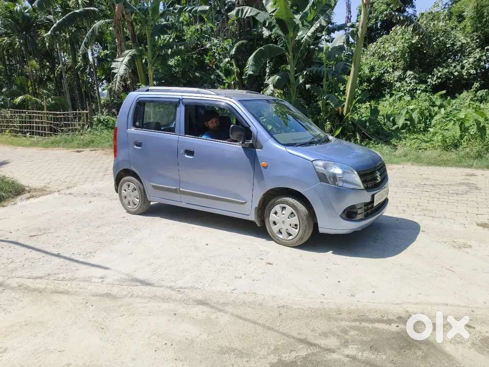 Maruti Suzuki Wagon R Flex Fuel 2011