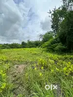 4250 sqrft approx residence na plot available for sale