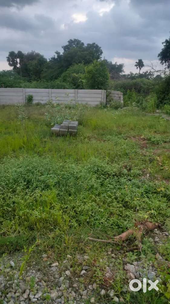 Plot for sale in  mangapuram