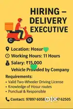 Delivery Executive