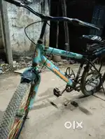2025 by cycle