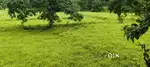 30 Gunta  Dam touch land for sale