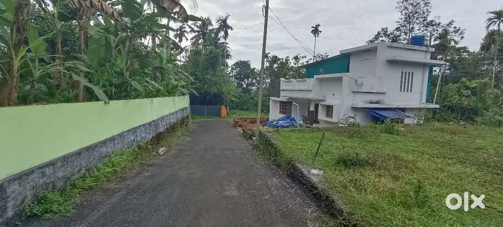 ANGAMALY TOWN NH 1KM 8 CENT