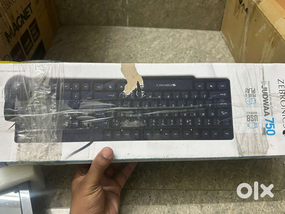 Zebronics keyboard