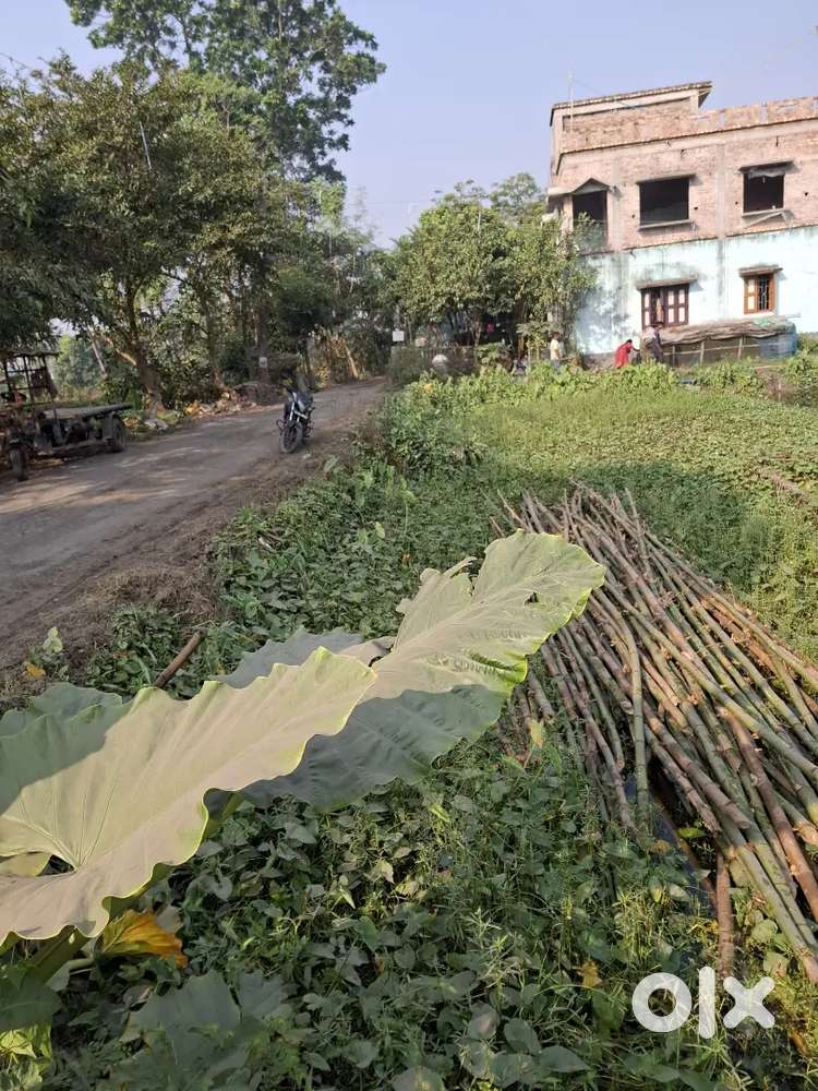 Plots available near Garia Engineering College