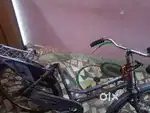Unisex cycle model 2021