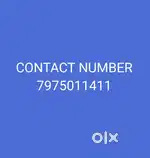I need tata Ace and tata intra drivers for porter duty
