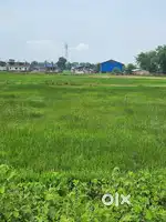 I want to sell my myadi patta land in Ahukhat Gaon Tinsukia.