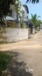 5 cent plot