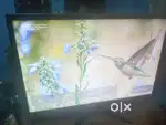 Zebster monitor