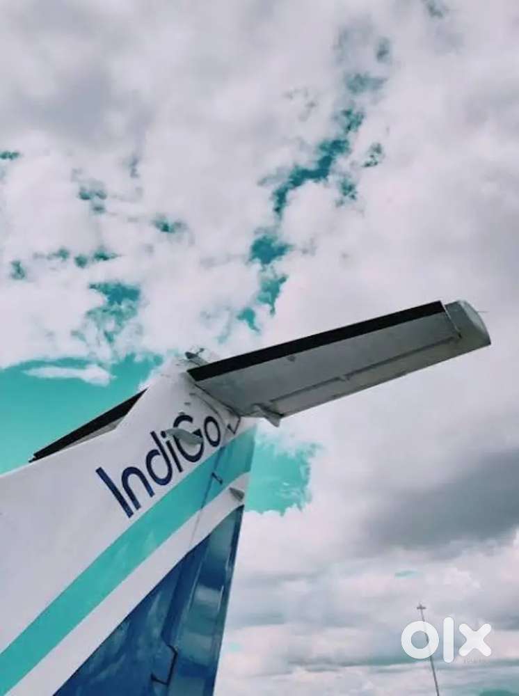 Urgent requirements for ground staff job in Indigo airline