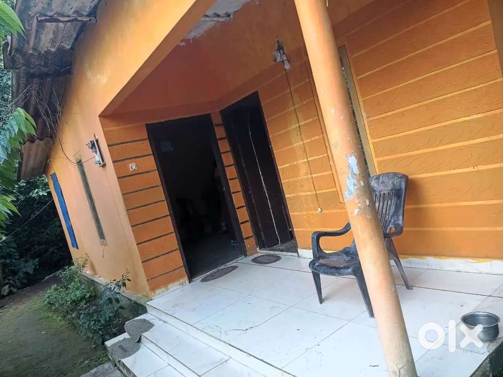 Thadiyanpad 25 cent house.thwgh.mave. plav.jathi.koco.kodi vallom .roa