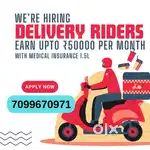 Delivery Executive Job