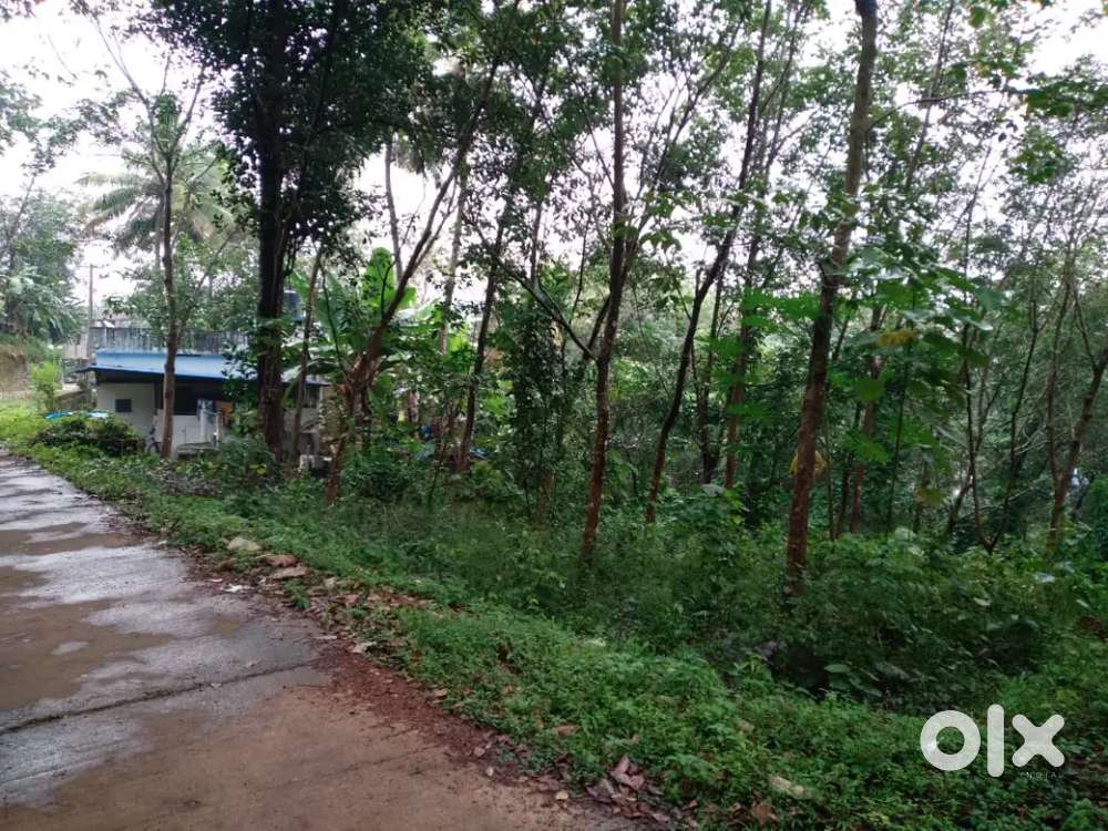 45 Cent Property For Sale