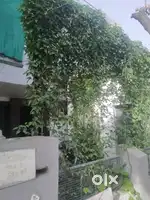 Rent a home for family