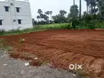 DTCP approved