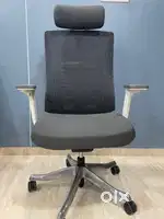 Premium Office Chair Ergonomic for work from home