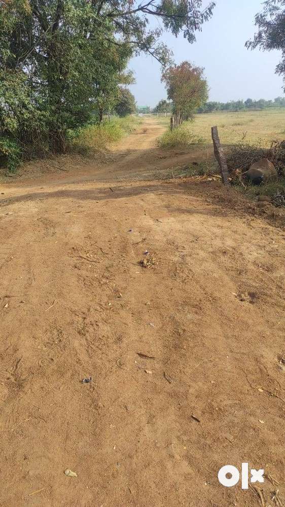 20 guntas Agri land for sale,near Gajwel,100mt from Double Road,55lakh