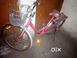 Selling 9 month old(new)BSA lady bird cycle.
