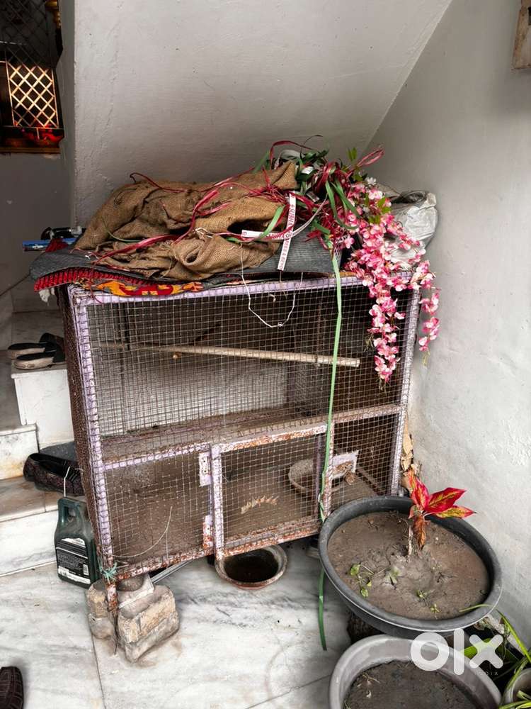 Pet cage for birds and other pets