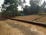 8 cent House Plot for Sale at Moozhikkulam, Chettikulam