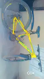 Roadeo gear cycle