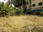 2.50 cent commercial plot for salenear nadakkavu